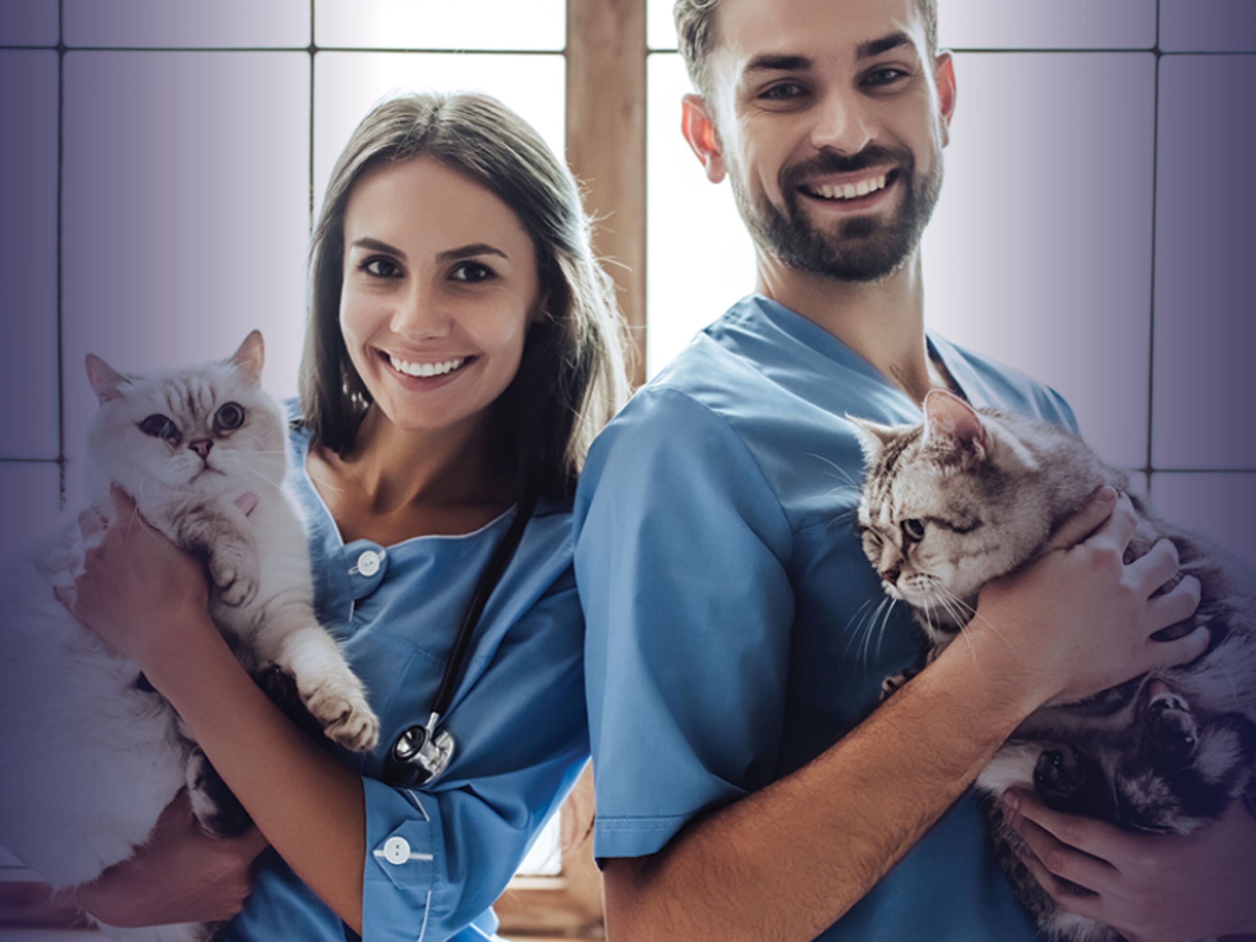 5 Careers You Can Start in Less Than 12 Months with a VET Qualification